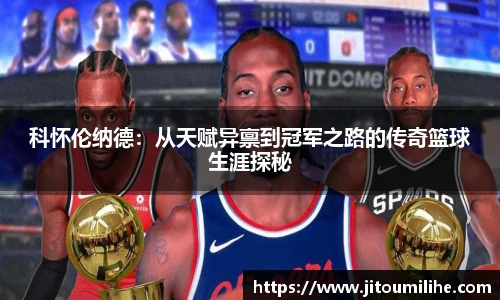 bsports官网
